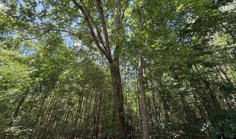 0 Five Notch Rd, Bradley, SC 29848
