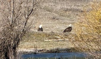 31850 Yearling Run, Alberton, MT 59820