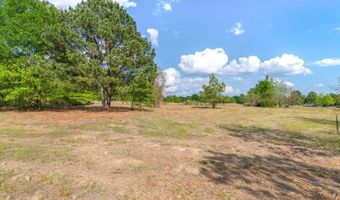 Hwy 69, Alba, TX 75410