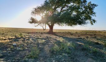 State Highway 214, Adrian, TX 79001