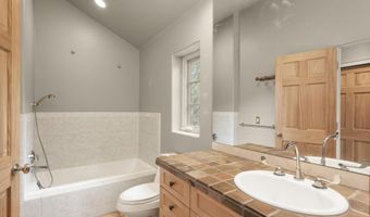 306 Wild Spring Ln, Basalt, CO 81621