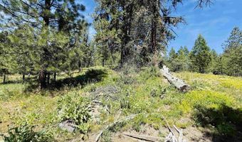 93 E Prospectors, Cascade, ID 83611