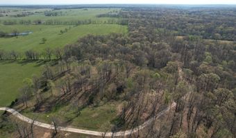 Tract 4 0000 Private Road 1184, Aurora, MO 65605