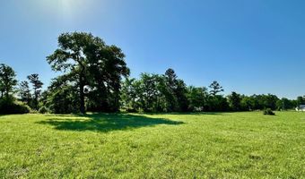 Tract 1 Sullivan Drive, Apple Springs, TX 75926