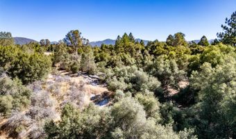 41902 Woodward Way, Ahwahnee, CA 93601