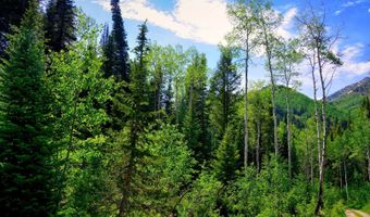 9380 E Kessler Ln, Brighton, UT 84121