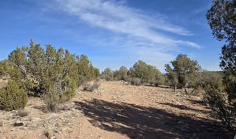 376 D Haywire, Ash Fork, AZ 86320