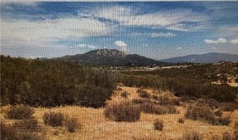 723 Arroyo Way, Aguanga, CA 92536