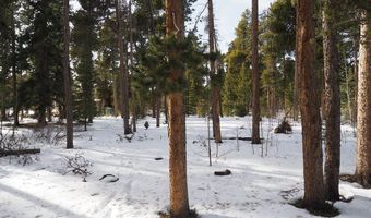 Long Trail Rd, Black Hawk, CO 80422