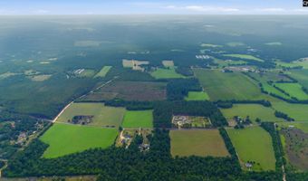 3164 Neely Wingard Rd, Leesville, SC 29070