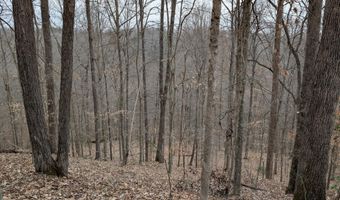 9999 Tip Top Rd, Beattyville, KY 41311