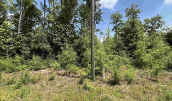 Grand Quiviera Circle, Alford, FL 32420