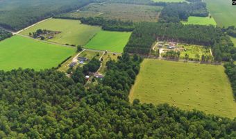 3164 Neely Wingard Rd, Leesville, SC 29070