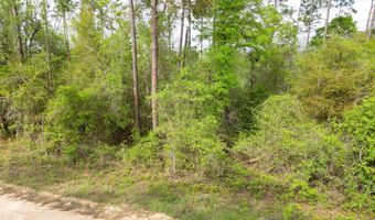 48 Blk 137 View Dr Lot 47, Alford, FL 32420