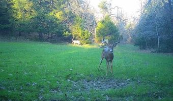240 Magnolia Ln, Bennington, OK 74723