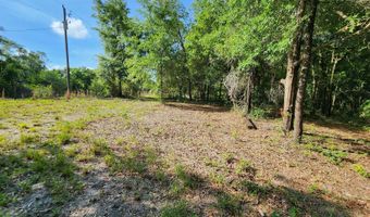 22295 43RD Dr, Lake City, FL 32024