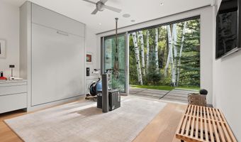 1180 Black Birch Dr, Aspen, CO 81611
