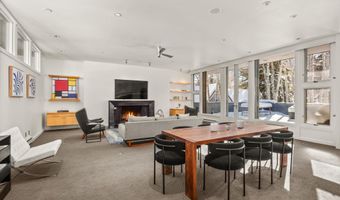 506 W Hallam St, Aspen, CO 81611