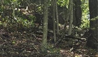 Goose Creek Lane, Ararat, VA 24053
