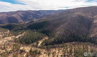 0 Cougar Cir Ct, Bellvue, CO 80512