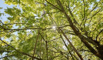 1234 Odell Springs Road OK, Bennington, OK 74723