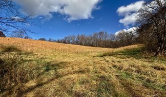 1520 Brittontown Rd, Afton, TN 37616