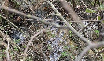 Putnam Avenue lot 30, Alford, FL 32420