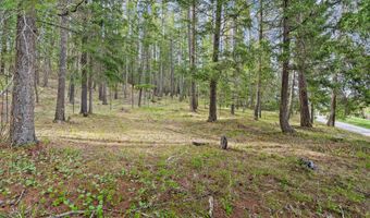 310 Rocky Woods Ln, Bigfork, MT 59911