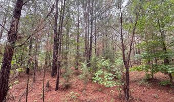 000 Pebble Cove Rd, Abbeville, AL 36310