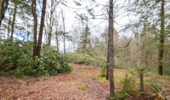 Deppners Road, Blakeslee, PA 18610