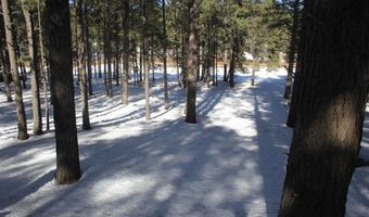 Lot 608 Via Del Rey, Angel Fire, NM 87710