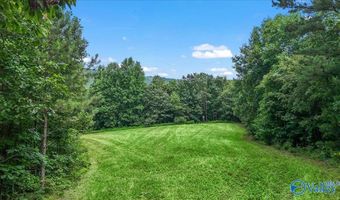 Unit # 0 Murphree Valley Road, Altoona, AL 35952