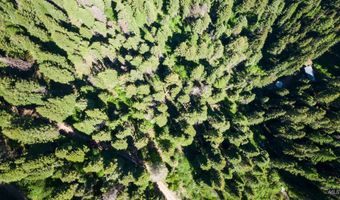 Burnt Wagon Trail, Cascade, ID 83611