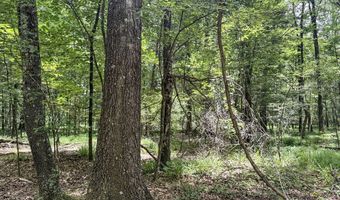Pine Lodge Road, Batesville, MS 38606