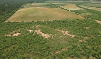 FM 600, Anson, TX 79501