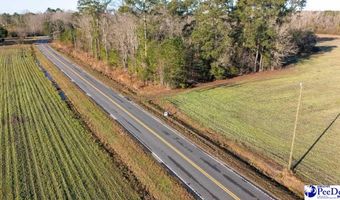 TBD Horse Branch Rd, Turbeville, SC 29162