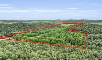 16060 US 278, Beaverton, AL 35544