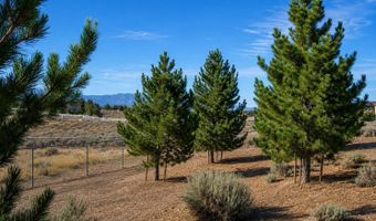 1925 Jungo Ct, Gardnerville, NV 89410