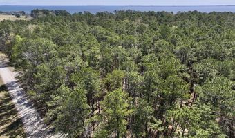 0 Lot 1 Creek Place Rd, Arapahoe, NC 28510
