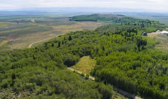 TRACT 14 SPRING HOLLOW ROAD, Daniel, WY 83115