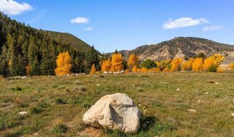 976 Wildwater Way, Almont, CO 81210