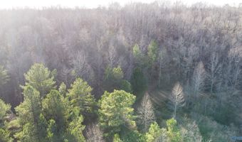 6777 Hwy 207, Anderson, AL 35610