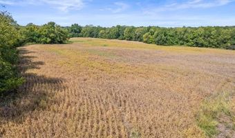 72 Acres S Cameron Rd, Archie, MO 64725