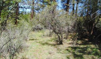 Jaguar Lane 29, Bonanza, OR 97623