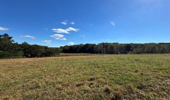 876 Rock Hill Church Rd, Ararat, NC 27007