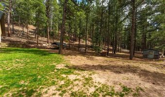 12316 County Road 501, Bayfield, CO 81122