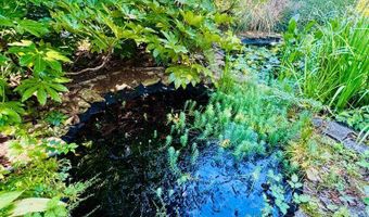 302 Chestnut St, Abbeville, SC 29620