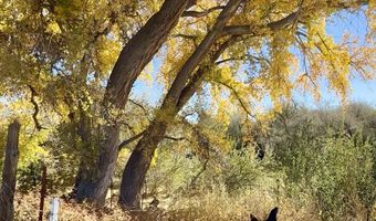 ROAD 4599, Blanco, NM 87412