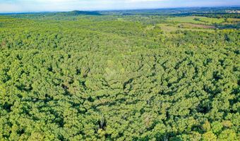 County Road P-305, Ava, MO 65608