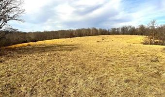 178 Acres Bug Scuffle Ln, Anderson, MO 64831